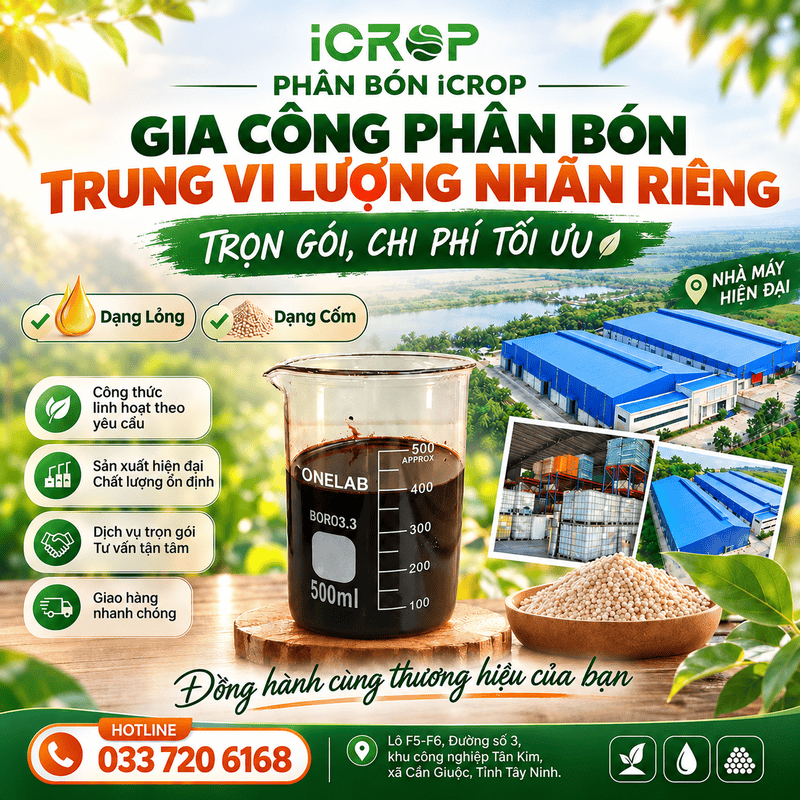 iCrop Group